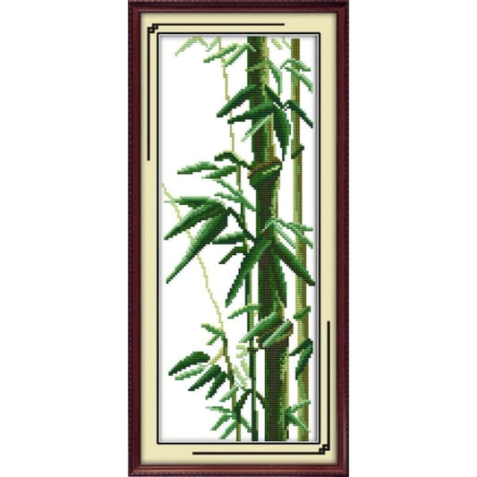 Bamboo(1)