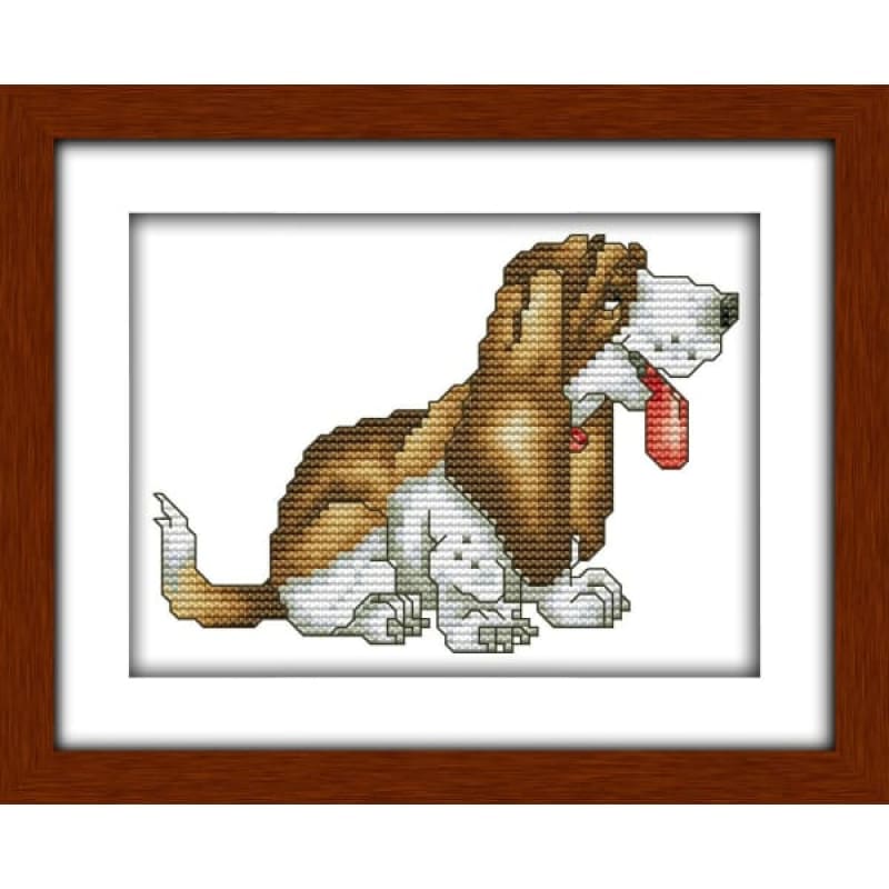 Basset hound (6)