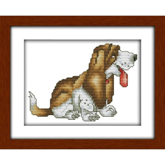 Basset hound (6)