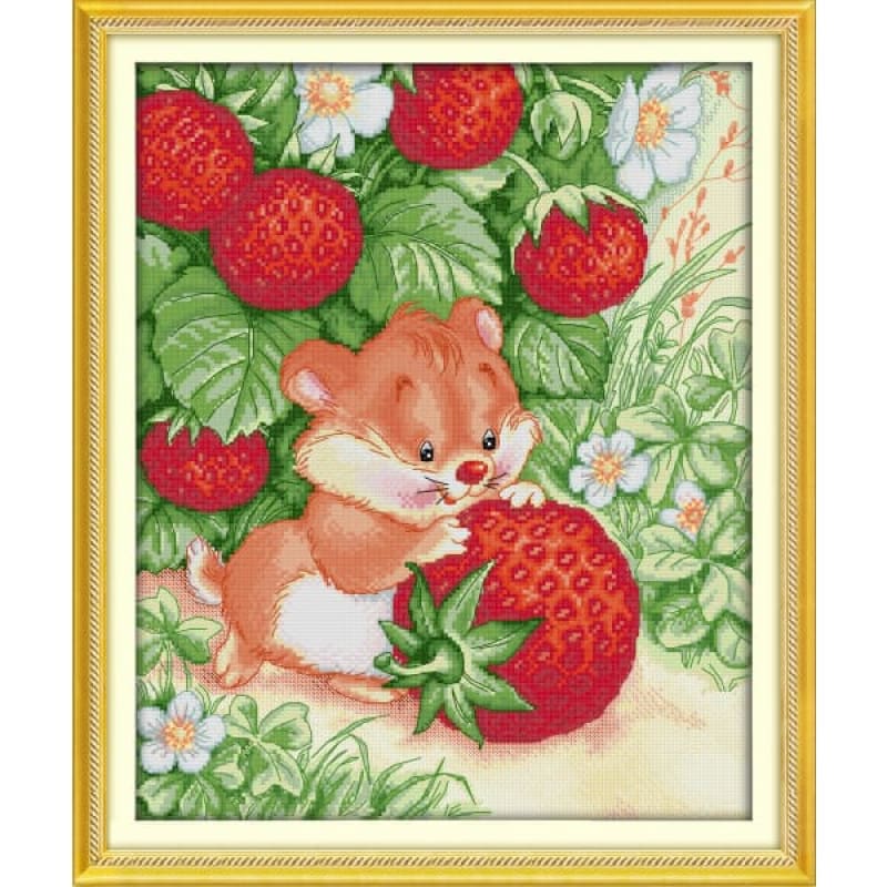 Elephant rat picking strawberries