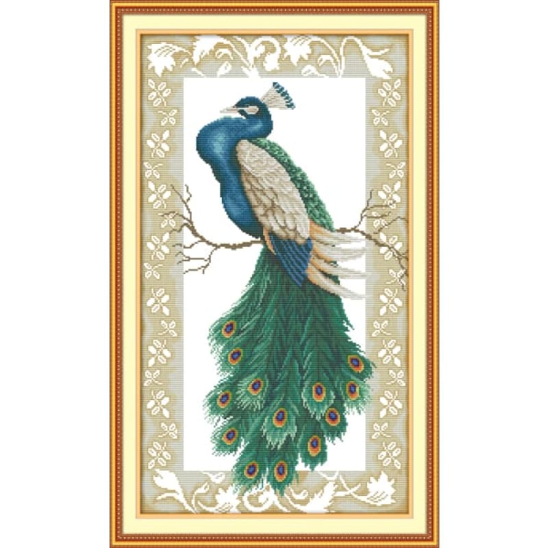 Peacock on the branch