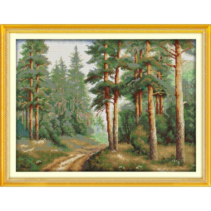 Pine forest