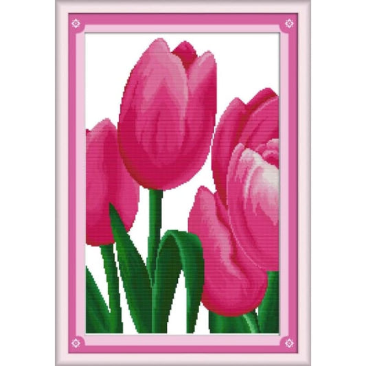 Pink tulip(1)