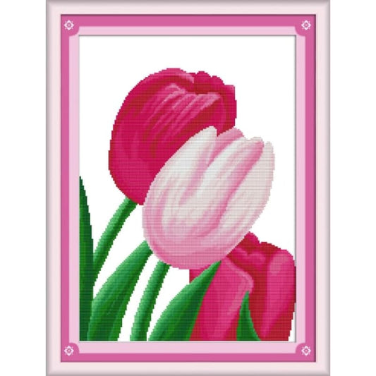 Pink tulip(3)