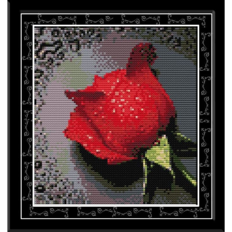 Rose with dew(1)(red)