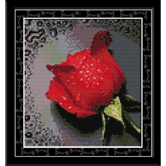 Rose with dew(1)(red)