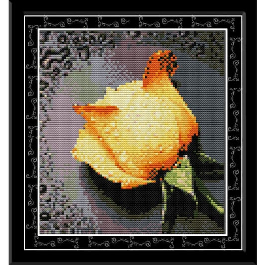 Rose with dew(2)(yellow)