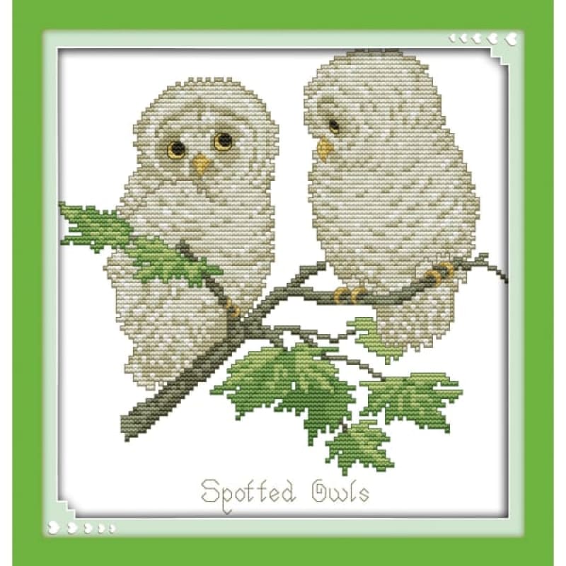 Spotted Owls