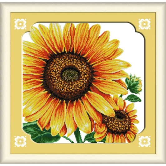 Sunflower(1)