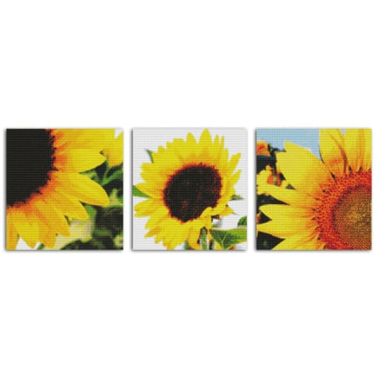 Sunflower(2)(Triptych)