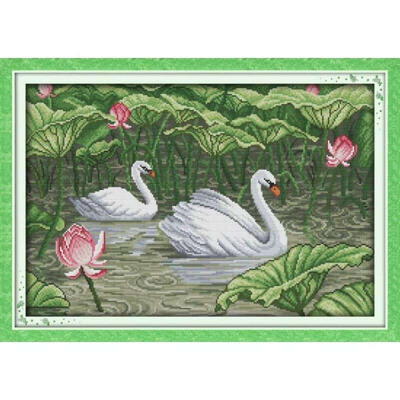 Swans in lotus pond (2)