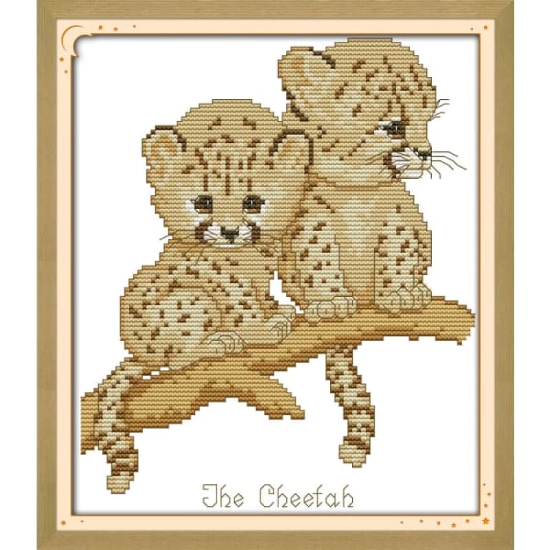 The cheetah