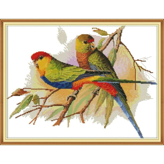 Two Parrots 2