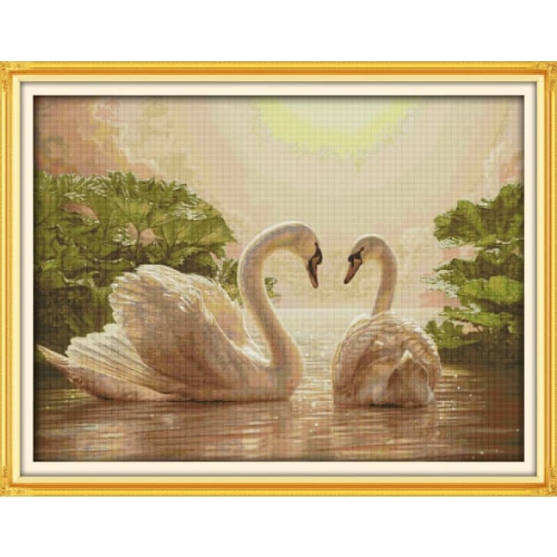 Two swans (2)